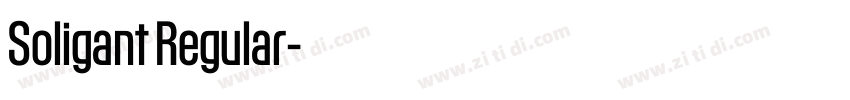 Soligant Regular字体转换 Soligant Regular字体转换